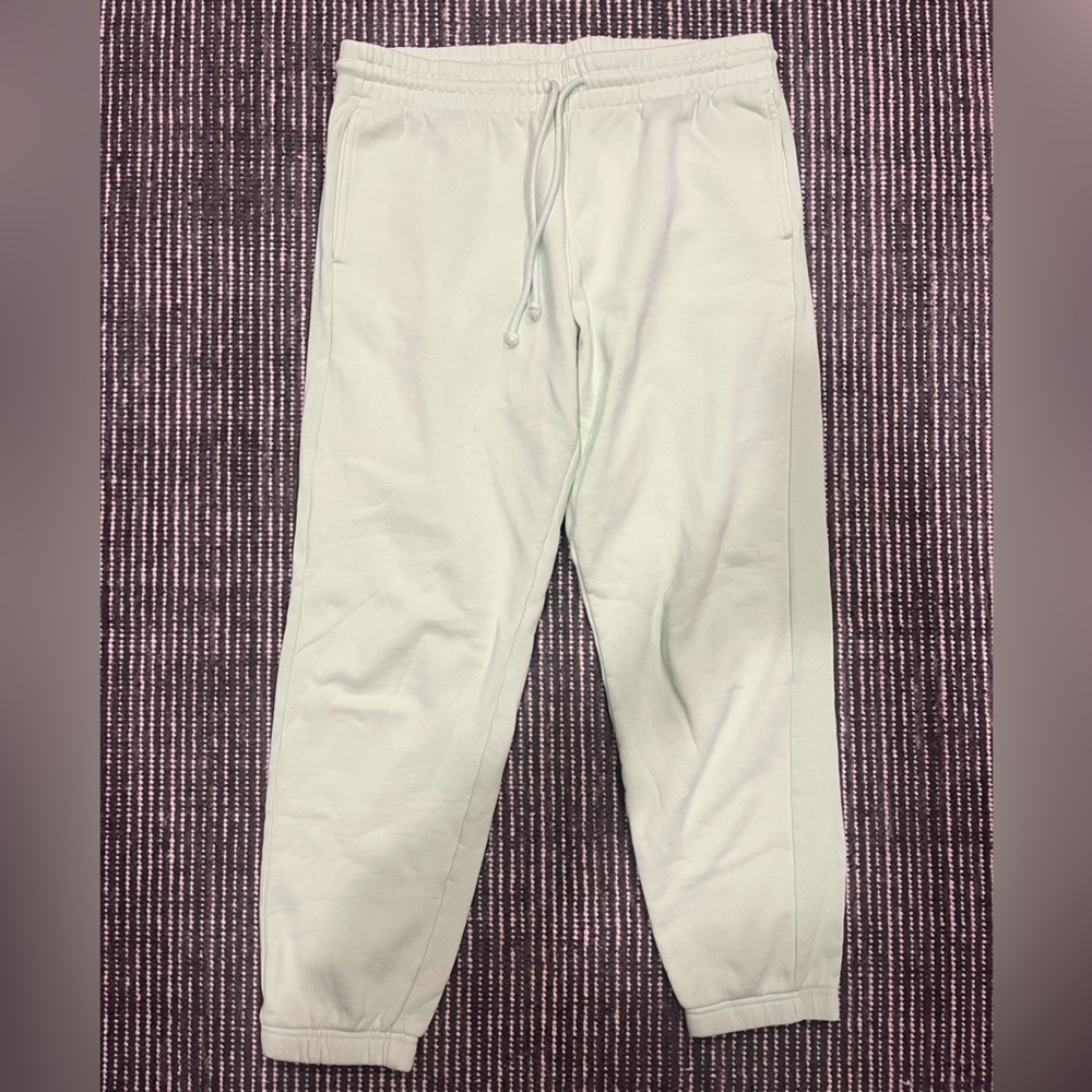 TNA (Aritzia) Mint Joggers